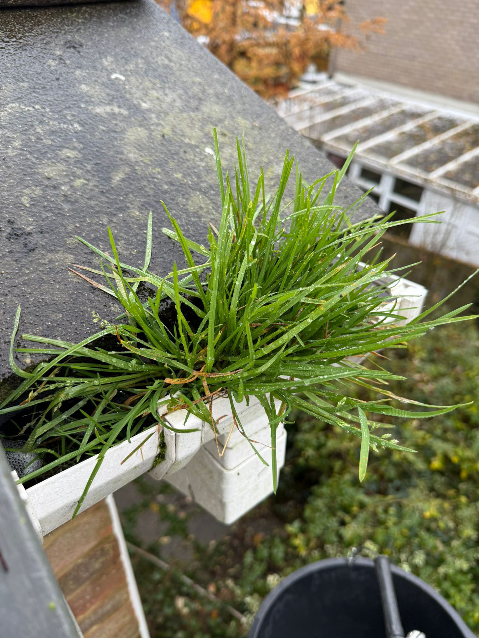 Blocked gutter downpipe in Ampthill